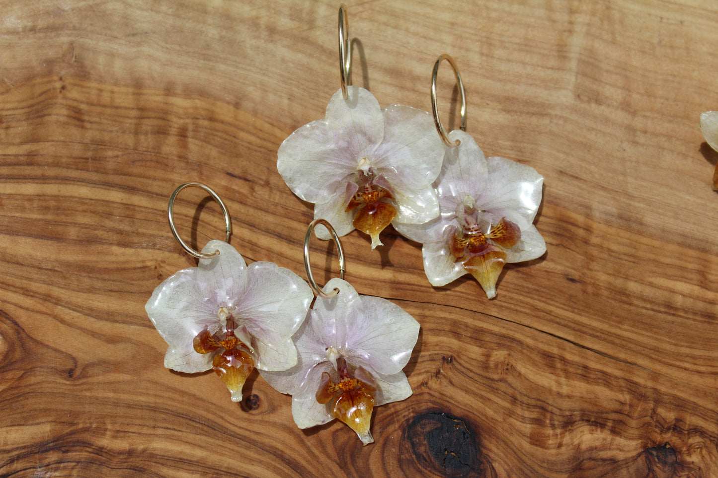 White Mini Phalaenopsis Earrings
