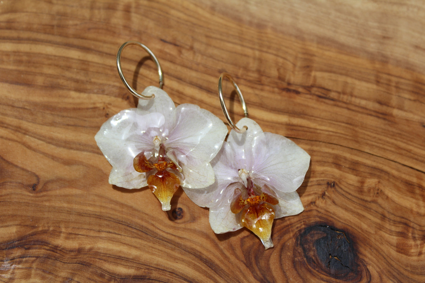 White Mini Phalaenopsis Earrings