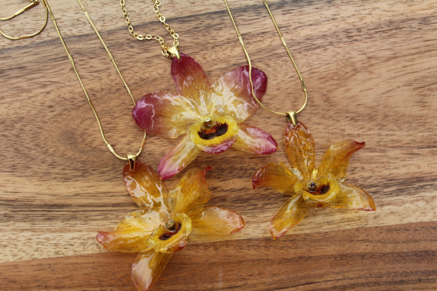 Tropical Yellow Dendrobium - Vol. IV