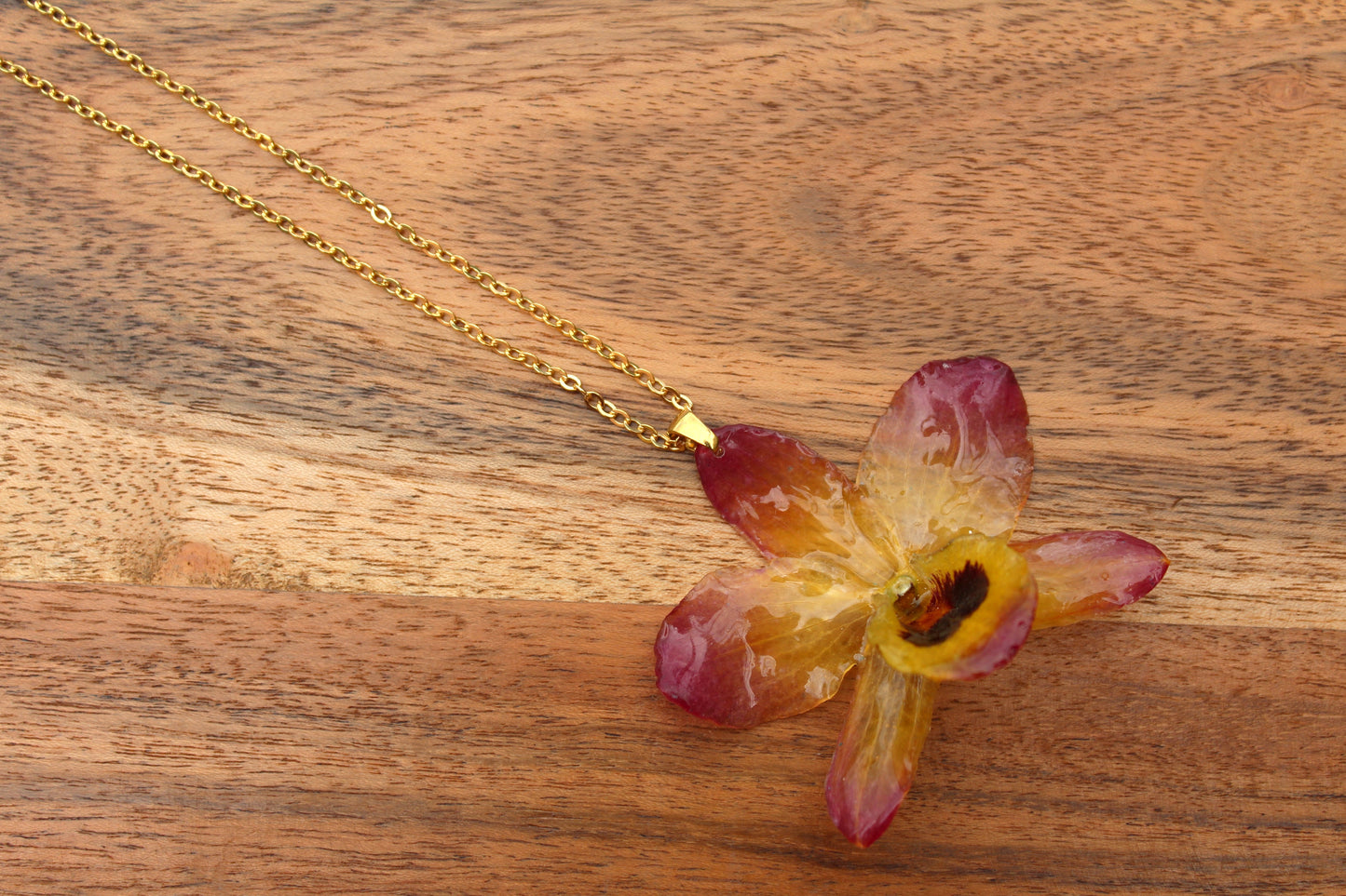 Tropical Yellow Dendrobium - Vol. IV