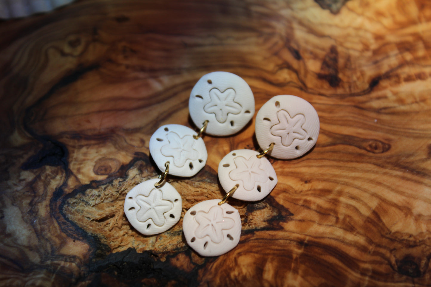 Sand dollar Trio