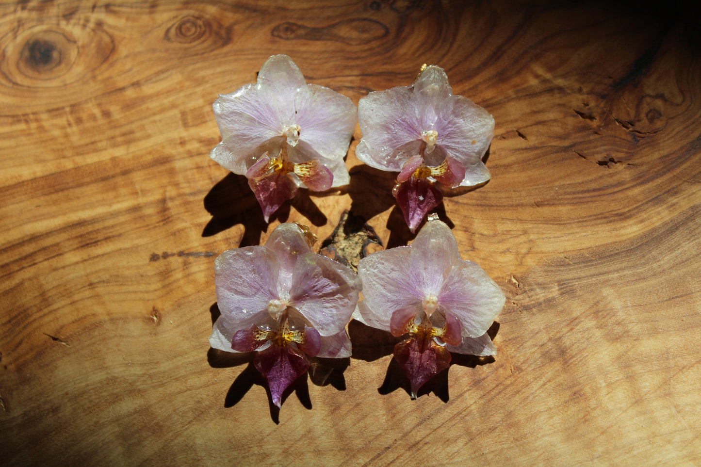 Lilac Mini Doritaenopsis Orchid Studs