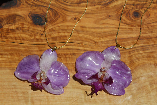 Snake Orchid Vol. II
