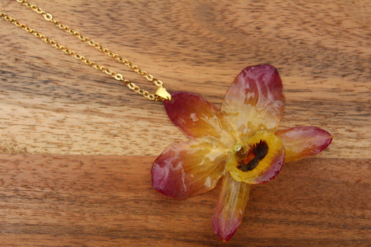 Tropical Yellow Dendrobium - Vol. IV