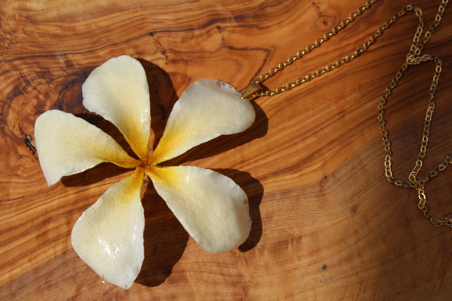 Plumeria Chain Vol. I