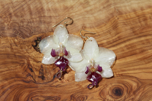 White Gem Phalaenopsis Orchid Earrings