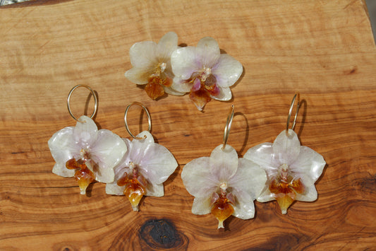 White Mini Phalaenopsis Earrings