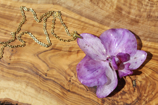 Orchid Vol. II