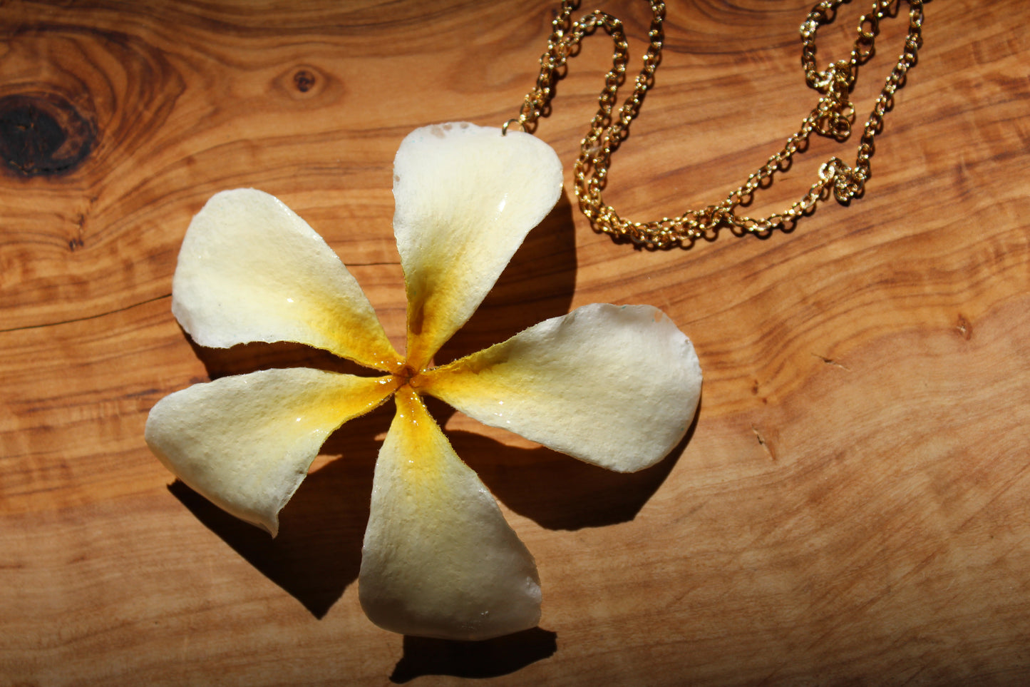 Plumeria Chain Vol. I