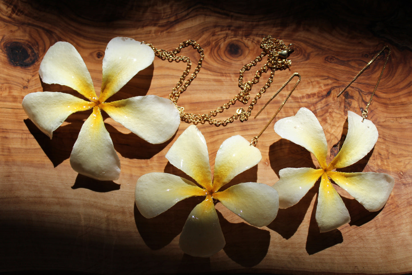 Plumeria Chain Vol. I