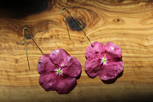 Periwinkle Vol. I