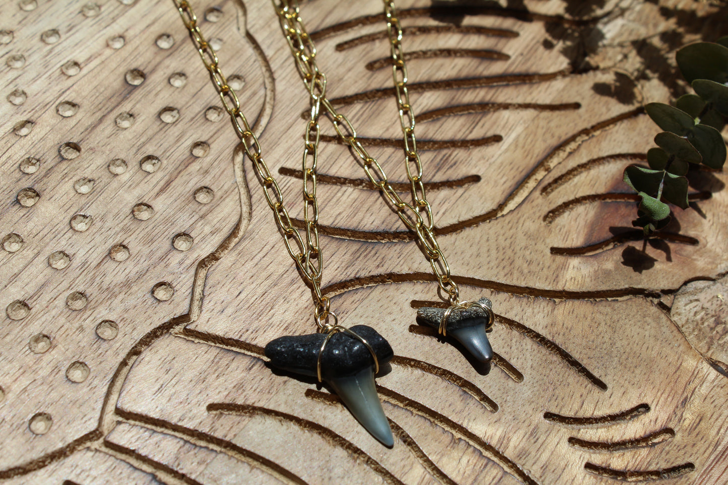 Shark Tooth Paperclip Chain