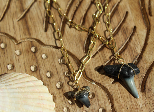 Shark Tooth Paperclip Chain